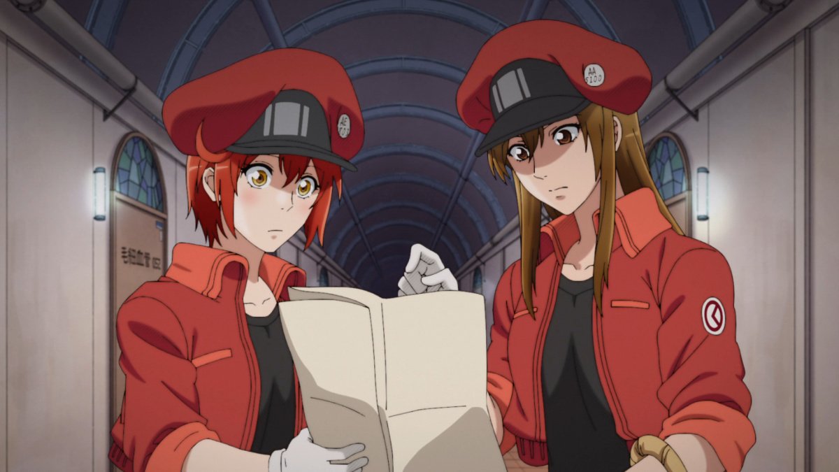 Cells At Work! Anime Gets Character Visuals for Red & White Blood Cells -  Anime Herald